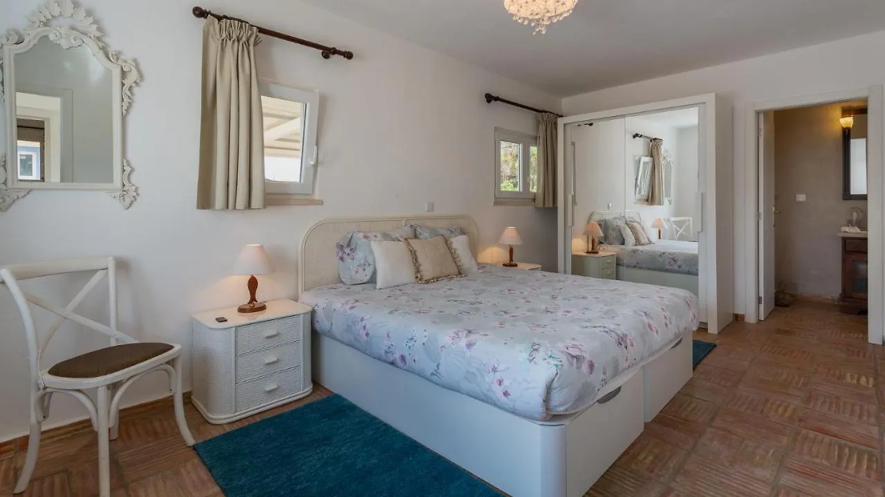 Luxury Villa With Pool In Vineyard Near The Beach Porches