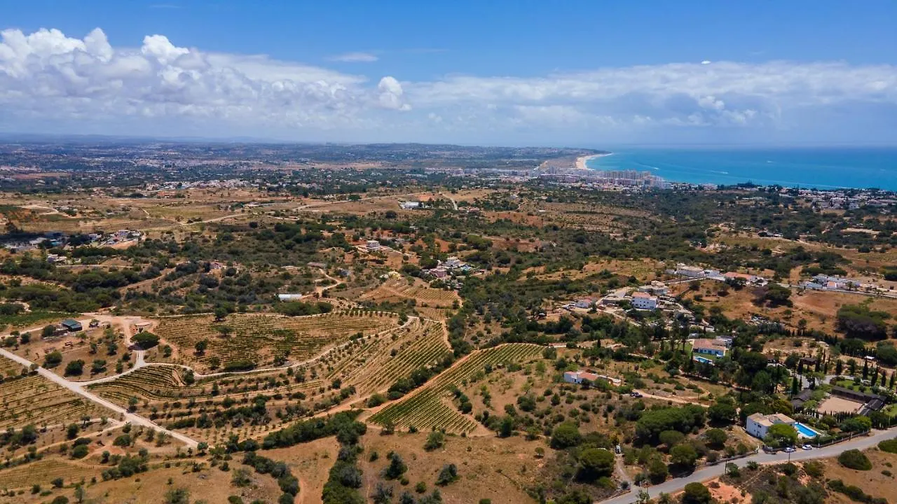 Luxury Villa With Pool In Vineyard Near The Beach Porches